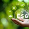 ESG-рейтинг финансовой компании лизинговая организация, микрофинансовая организация страховая организация в год купить / заказать / цена стоимость услуга
